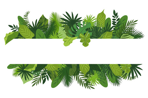 دانلود وکتور لایه باز EPS حاشیه گل و کادر برای نوشتن کد 8